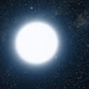 Meet your Posher, Frank